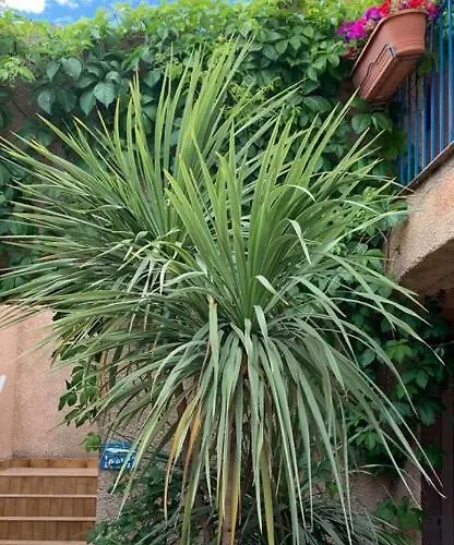 Colombara מלון דירות 3*