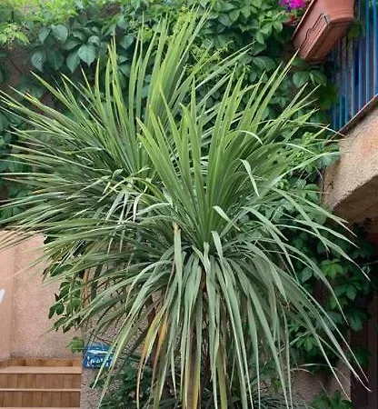 Colombara Apart-hotel 3*